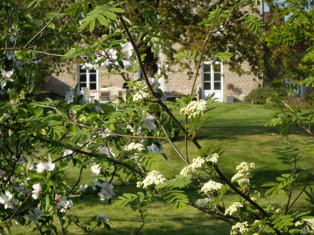 B&B Schoon Goed Gingelom Exterior foto